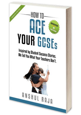 Anshul Raja book How to Ace your GCSEs