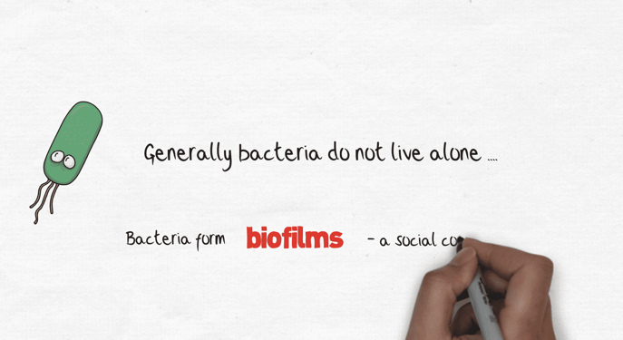 Biofilms bacteria science scribe video example